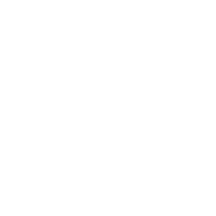 iconoENVEJECIMIENTO